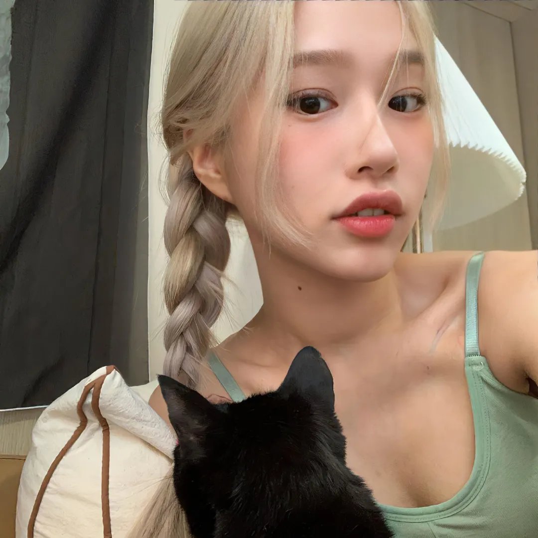 刺猬的优雅